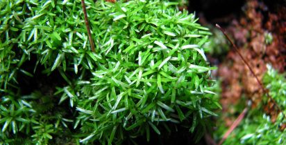 5481608144 c98b0ef7f3 b