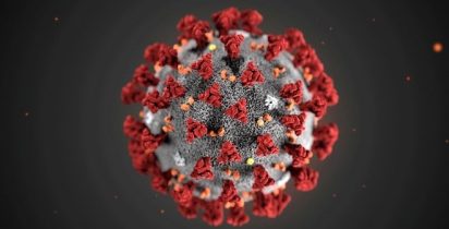 Novo coronavirus