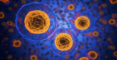 Inovação CTIT UFMG