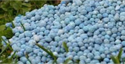 Inovação CTIT UFMG 840