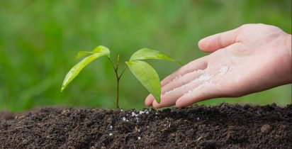 WhatsApp Image 2025 10 23 at 10.27.59