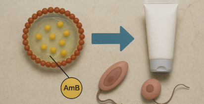 IMAGEM Resumo executivo 1138.1 e 1138.1A