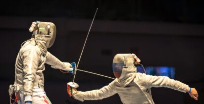 Fencing 1839325