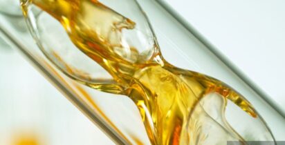 Istockphoto 1939545109 1024x1024