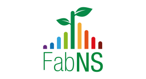 FabNS 300x164