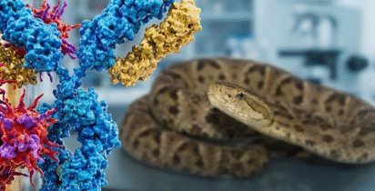 Gemini Generated Image lfjmpjlfjmpjlfjm